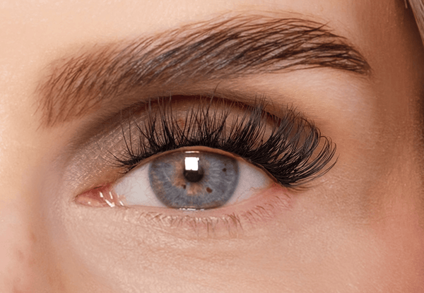 Bitter Sweet – Magnetic Mini Box (6er Set)